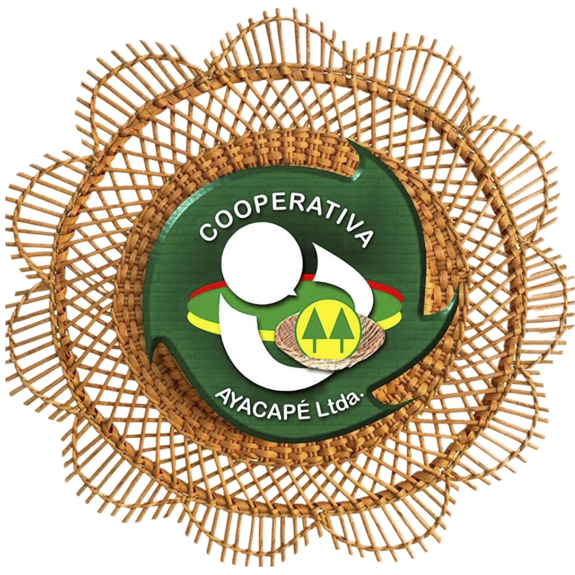 Ayacape logo